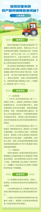 自然災(zāi)害來襲，農(nóng)戶如何保障自身權(quán)益？